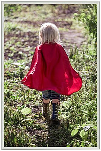 40 x 60 Poster Frame for Wall, Snap Open, 32mm Profile - Silver