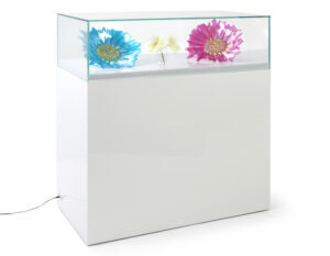 39"w Glass Display Case, LED Surface Light, Removable Top, Floor Standing - White