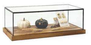 5.8" Countertop Display w/ Lift-Off Top, Black Copper Edging, Wooden Base - Clear