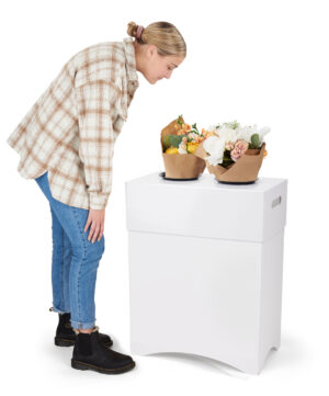 Cardboard Flower Display, 2 Waterproof Plastic Buckets - White