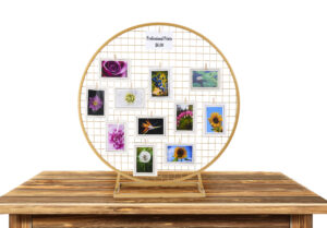 Circle Gridwall Backdrop w/ Countertop Design - Gold or White