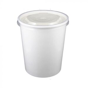 32 oz White Paper Ice Cream Container with Plastic Lid Combo - 1 case (250 set)