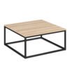 American Elm Stock