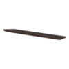American Elm Stock