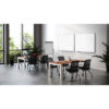American Elm Stock