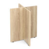 American Elm Stock