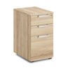 American Elm Stock