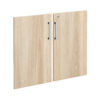 American Elm Stock