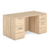 American Elm Stock