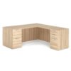 American Elm Stock
