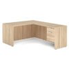 American Elm Stock