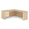 American Elm Stock