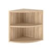 American Elm Stock