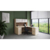 American Elm Stock