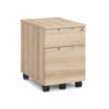 American Elm Stock