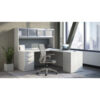 American Elm Stock