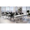 American Elm Stock