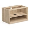 American Elm Stock
