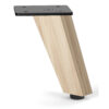 American Elm Stock