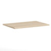 American Elm Stock