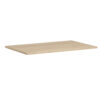 American Elm Stock