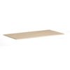 American Elm Stock