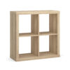 American Elm Stock