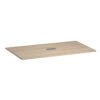 American Elm Stock