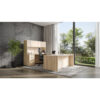 American Elm Stock