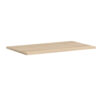 American Elm Stock