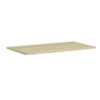 American Elm Stock