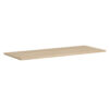 American Elm Stock