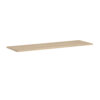 American Elm Stock