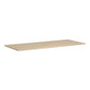 American Elm Stock