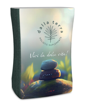 Replacement Stretch Graphic for TEPCASEWRP