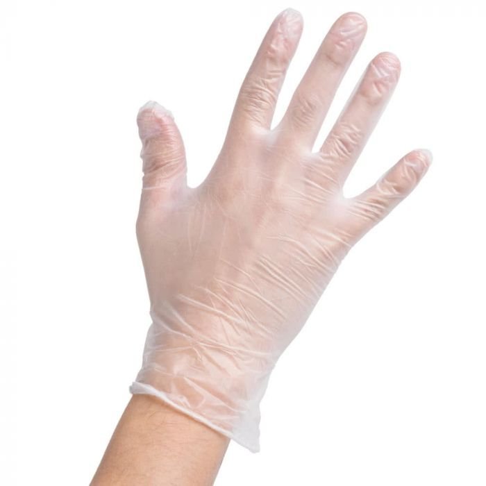 Powder-Free Disposable Food Service Vinyl Gloves, Large - 1 case (1000 piece)