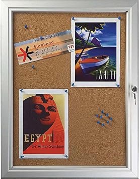 M&T Displays Enclosed Cork Bulletin Board Silver Aluminum Outdoor Noticeboard for Office School Classroom Hospital Commercial Use (4X(8.5x11 in))